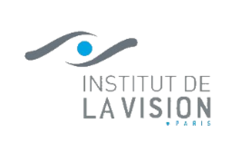 Institute de La Vision logo